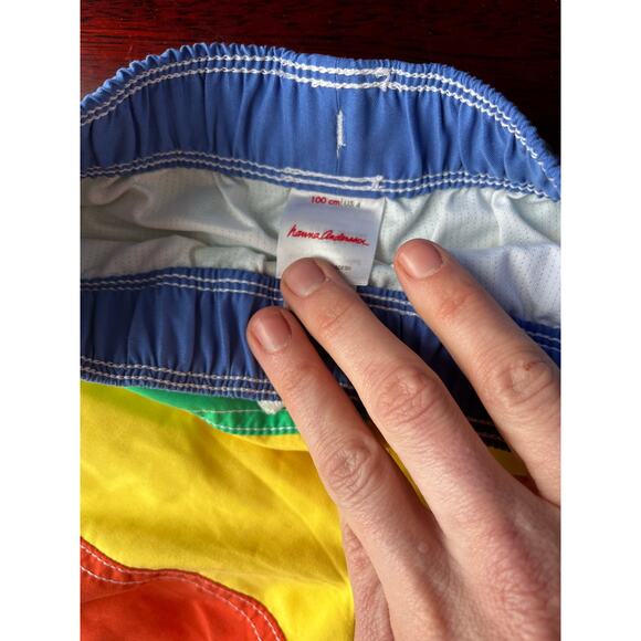 Hannah Anderson Boys Color Block Swim Trunks Size 100 US 4 4T Rainbow Shorts - Picture 2 of 3